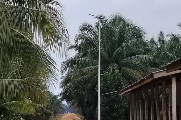 Why Solar Street Lights are Ideal for Villages?